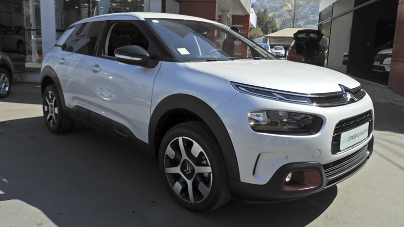 Nuevo C4 Cactus