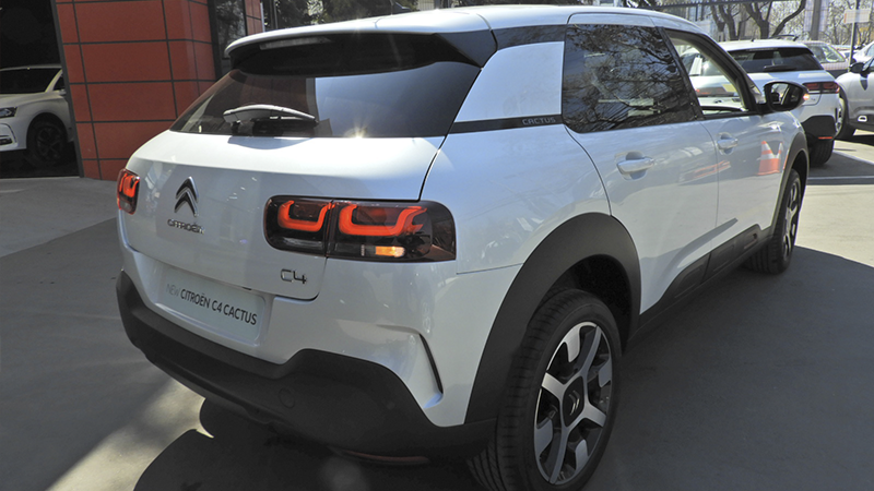 Nuevo C4 Cactus